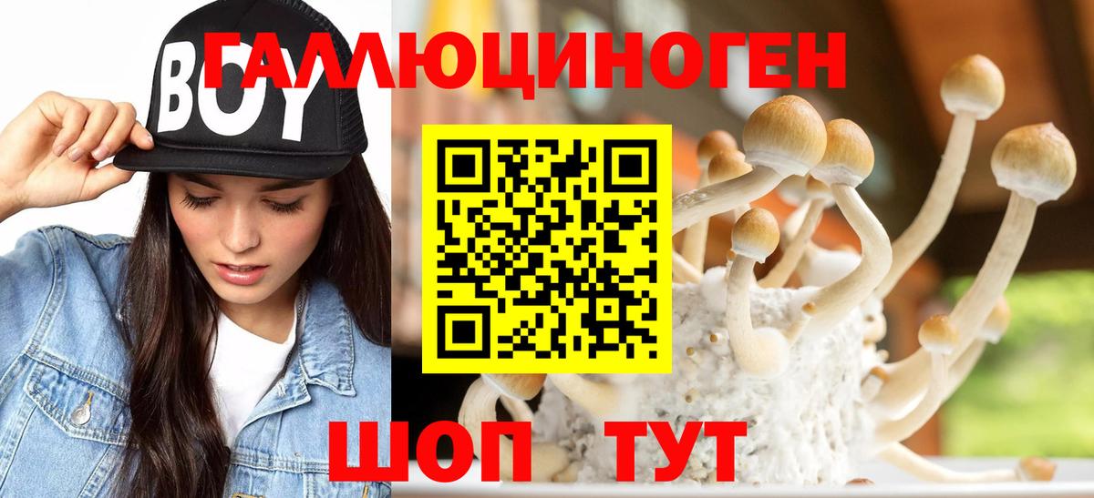 Псилоцибиновые грибы мухоморы Ирбит